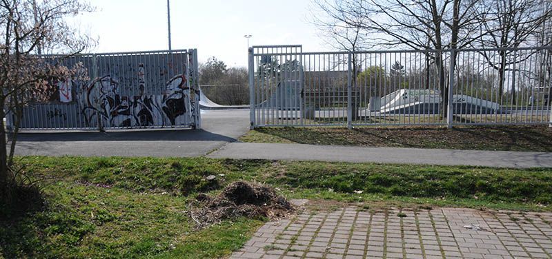 Bild Skatepark am Hans-Reif-Sportzentrum