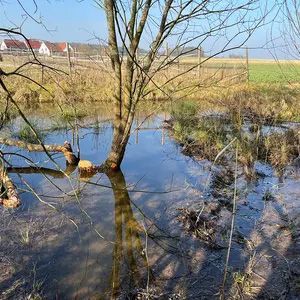 Bild Biotop Rehdorf